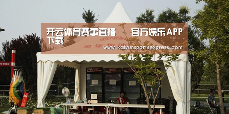 案例标题五